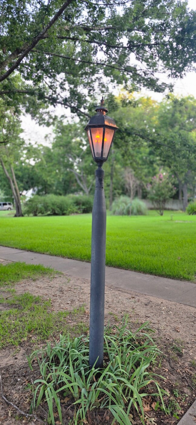 A glowing lamp left on beneath the trees, photographed by Ted Johnson